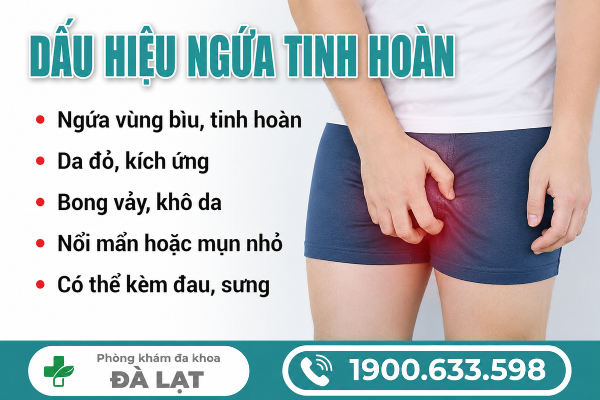 Hình ảnh minh họa
